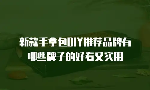 新款手拿包DIY推荐品牌有哪些牌子的好看又实用