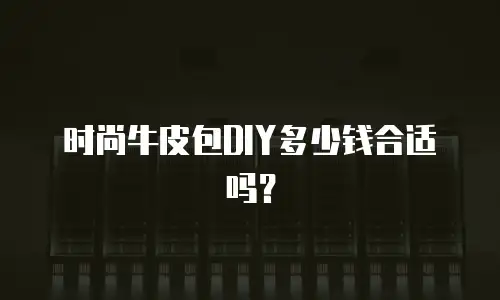 时尚牛皮包DIY多少钱合适吗？