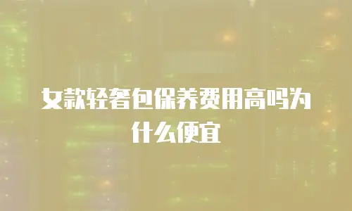 女款轻奢包保养费用高吗为什么便宜