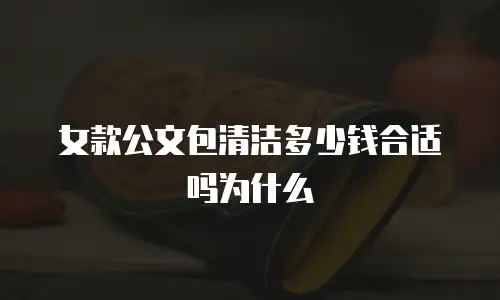 女款公文包清洁多少钱合适吗为什么