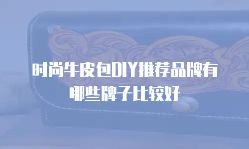 时尚牛皮包DIY推荐品牌有哪些牌子比较好