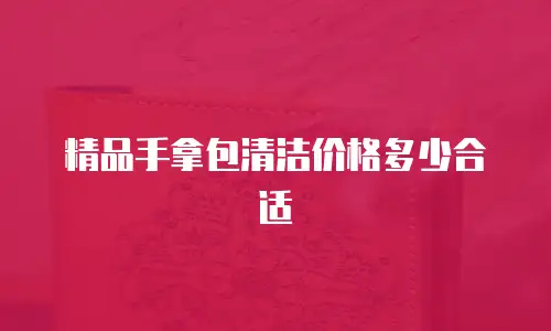 精品手拿包清洁价格多少合适