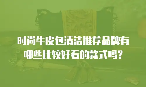 时尚牛皮包清洁推荐品牌有哪些比较好看的款式吗？