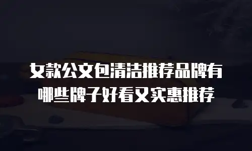 女款公文包清洁推荐品牌有哪些牌子好看又实惠推荐