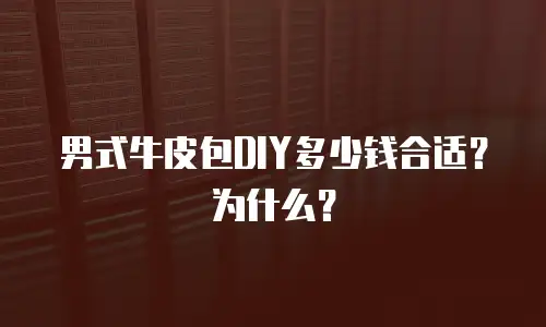 男式牛皮包DIY多少钱合适？为什么？