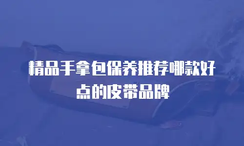 精品手拿包保养推荐哪款好点的皮带品牌
