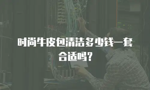 时尚牛皮包清洁多少钱一套合适吗？