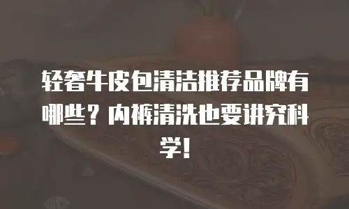 轻奢牛皮包清洁推荐品牌有哪些？内裤清洗也要讲究科学！