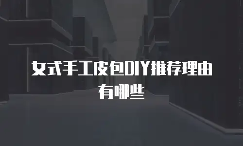 女式手工皮包DIY推荐理由有哪些