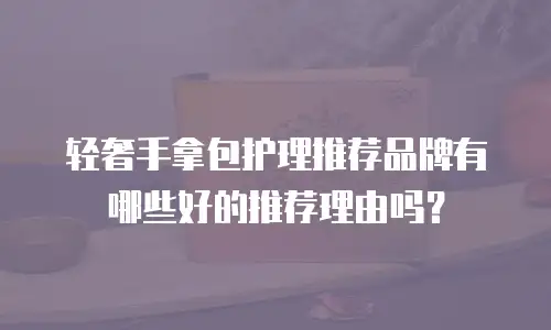 轻奢手拿包护理推荐品牌有哪些好的推荐理由吗？