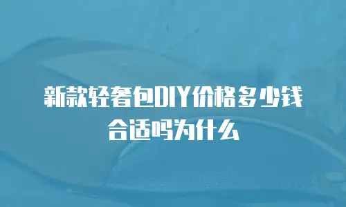 新款轻奢包DIY价格多少钱合适吗为什么
