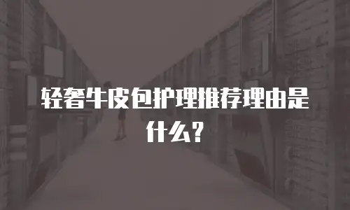 轻奢牛皮包护理推荐理由是什么？