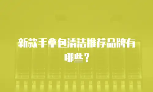 新款手拿包清洁推荐品牌有哪些？