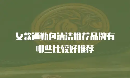 女款通勤包清洁推荐品牌有哪些比较好推荐
