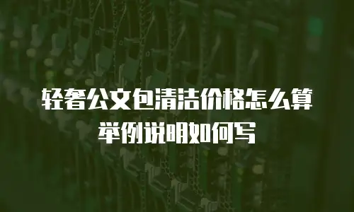 轻奢公文包清洁价格怎么算举例说明如何写