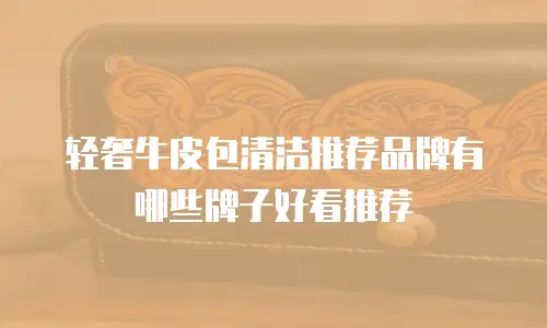 轻奢牛皮包清洁推荐品牌有哪些牌子好看推荐