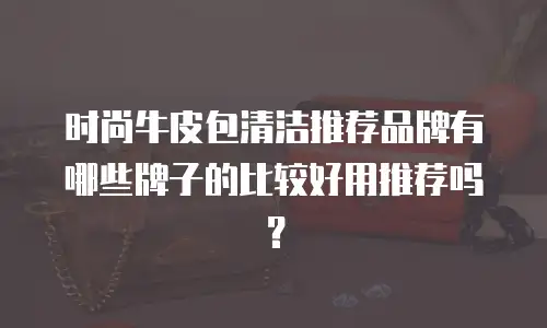 时尚牛皮包清洁推荐品牌有哪些牌子的比较好用推荐吗？