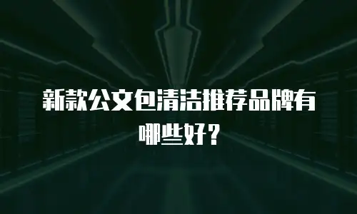 新款公文包清洁推荐品牌有哪些好？