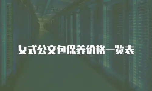 女式公文包保养价格一览表