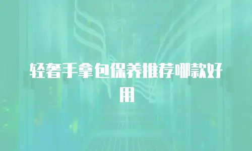 轻奢手拿包保养推荐哪款好用