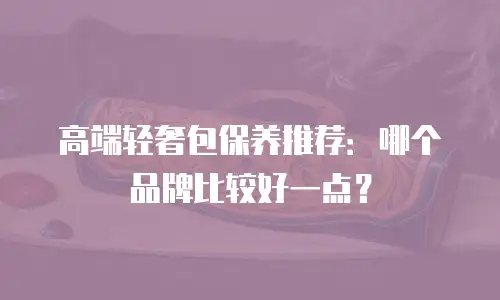 高端轻奢包保养推荐：哪个品牌比较好一点？