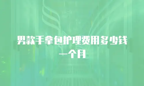 男款手拿包护理费用多少钱一个月