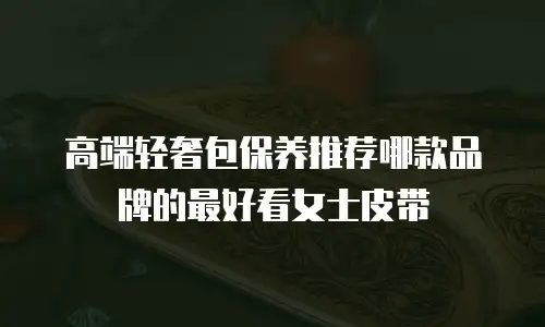 高端轻奢包保养推荐哪款品牌的最好看女士皮带