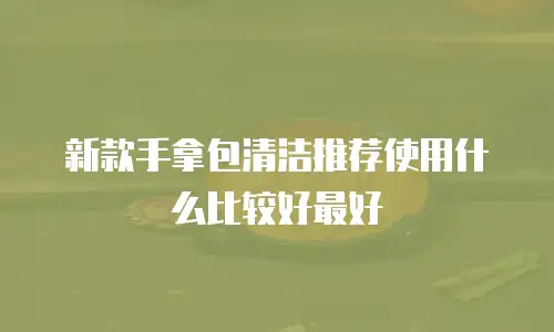 新款手拿包清洁推荐使用什么比较好最好