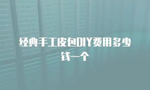 经典手工皮包DIY费用多少钱一个