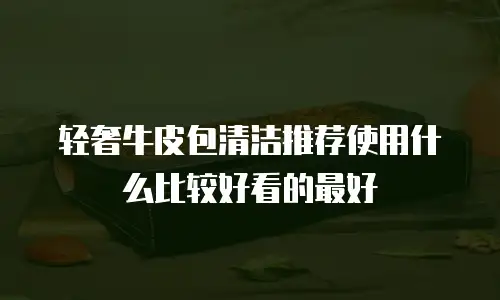 轻奢牛皮包清洁推荐使用什么比较好看的最好