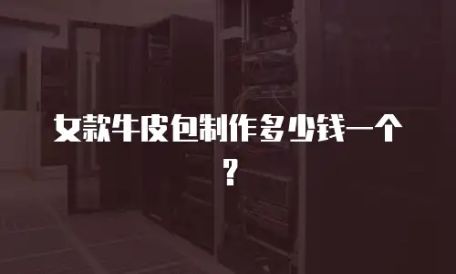 男款公文包保养多少钱一套？