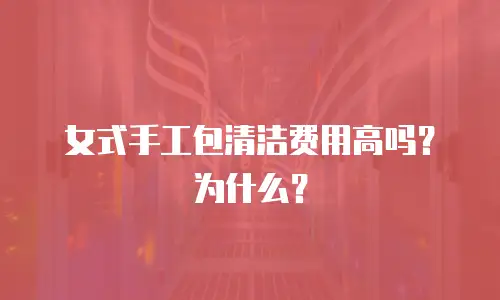 女式手工包清洁费用高吗？为什么？