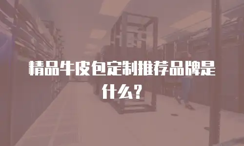 精品牛皮包定制推荐品牌是什么？