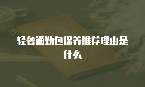 轻奢通勤包保养推荐理由是什么