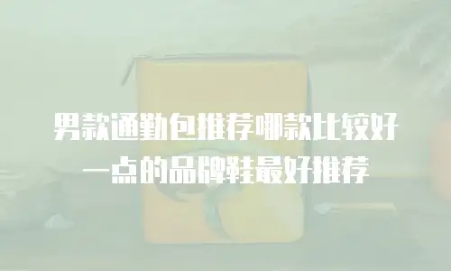 男款通勤包推荐哪款比较好一点的品牌鞋最好推荐