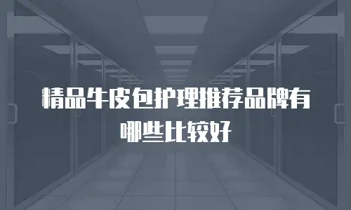 精品牛皮包护理推荐品牌有哪些比较好