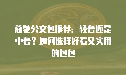 蔻驰公文包推荐：轻奢还是中奢？如何选择好看又实用的包包