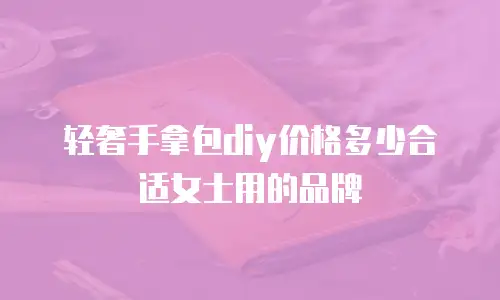 轻奢手拿包diy价格多少合适女士用的品牌