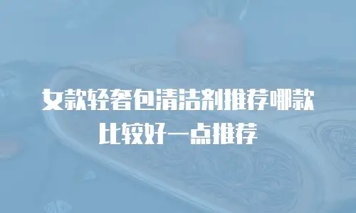 女款轻奢包清洁剂推荐哪款比较好一点推荐