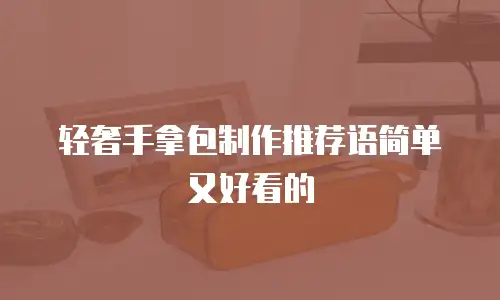 轻奢手拿包制作推荐语简单又好看的