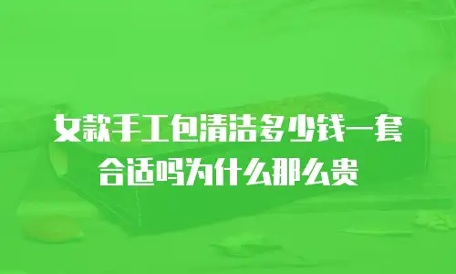 女款手工包清洁多少钱一套合适吗为什么那么贵