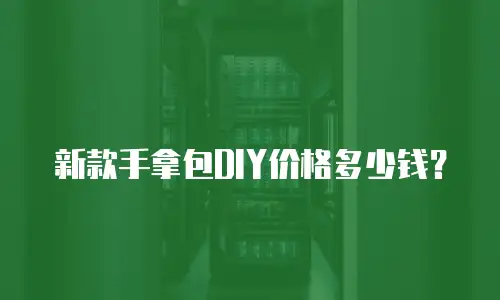 新款手拿包DIY价格多少钱？