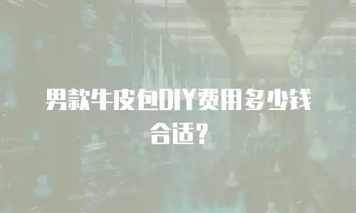 男款牛皮包DIY费用多少钱合适？