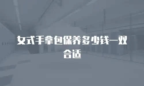 女式手拿包保养多少钱一双合适