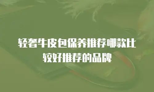 轻奢牛皮包保养推荐哪款比较好推荐的品牌