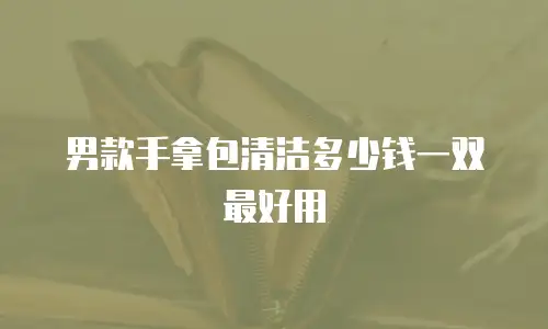 男款手拿包清洁多少钱一双最好用