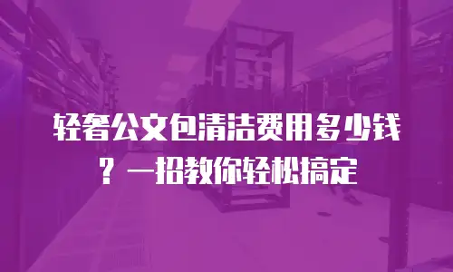轻奢公文包清洁费用多少钱？一招教你轻松搞定