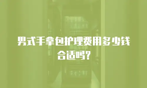 男式手拿包护理费用多少钱合适吗？