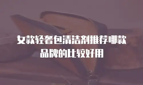 女款轻奢包清洁剂推荐哪款品牌的比较好用