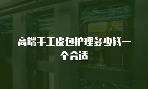高端手工皮包护理多少钱一个合适
